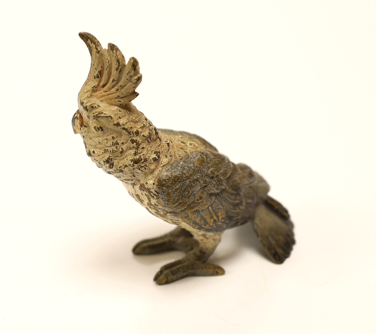 A large Austrian cold painted bronze model of a Cockatoo, 10cms high